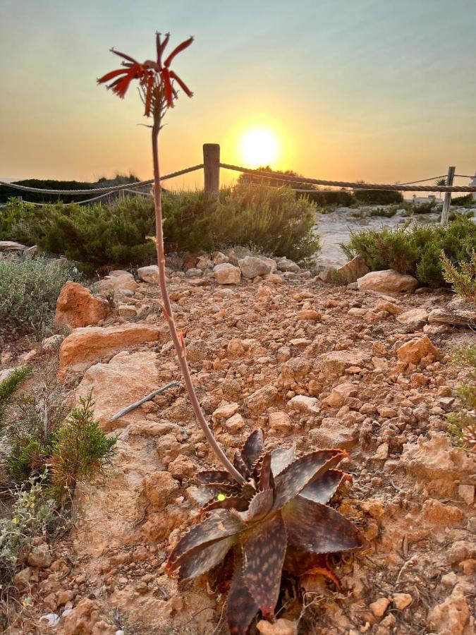 Es Arenals Arenas Del Mar Formentera 빌라 외부 사진